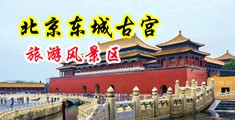 大肉棒摩擦骚逼喷水中国北京-东城古宫旅游风景区